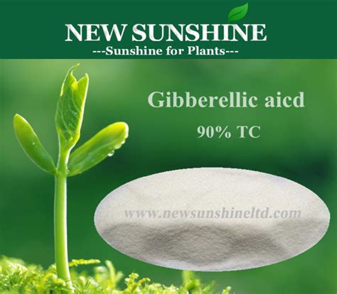 Gibberellic Acid And Cactus Germination OBLOG