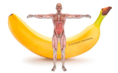 Los efectos de comer 2 bananas al día durante un mes en tu cuerpo