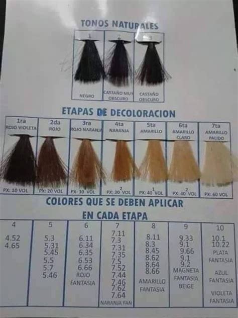 Etapas Decoloración Decoloración De Cabello Técnicas De Color Para