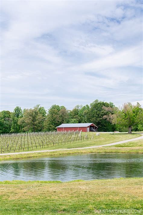 Yadkin Valley Wineries in NC with Dry Wines: 3 Days, 6 Stops