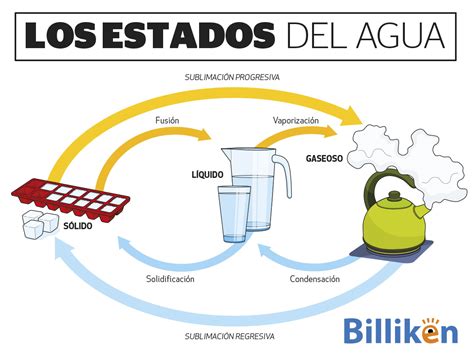 Los Estados Del Agua Todo Lo Que Necesitás Saber Y Una Infografía Para