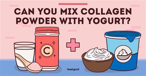 Can You Mix Collagen Powder With Yogurt Pros Cons Feastgood