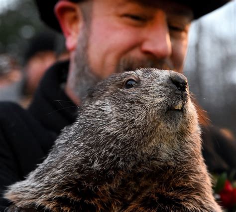 punxsutawney phil Blank Template - Imgflip