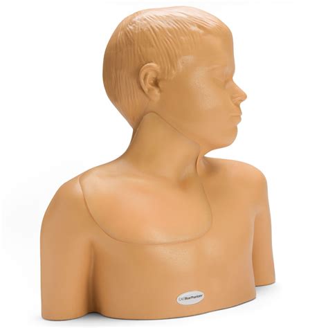 Blue Phantom™ Pediatric Ultrasound Central Line And Regional Anesthesia Training Model Aed