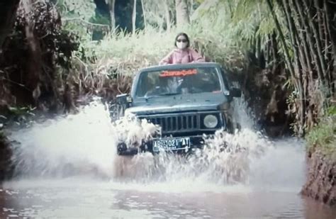 Asyiknya Jelajah Wisata Hutan Pinus Mangunan Di Bantul Dengan Jeep