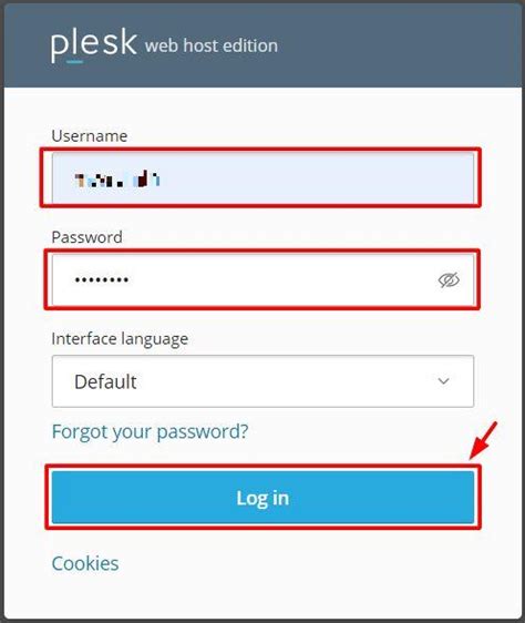 How To Access The Plesk Panel