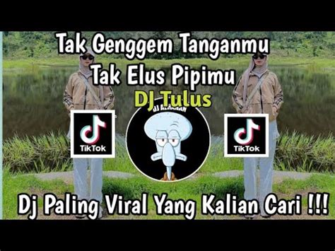 Tak Genggem Tanganmu Tak Elus Pipimu Dj Tulus Viral Tik Tok Terbaru