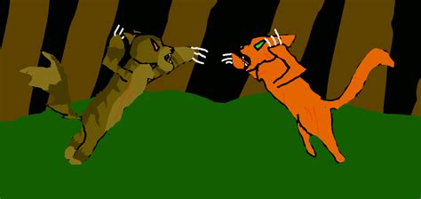 Firestar Vs Tigerstar By Cutestreak On Deviantart