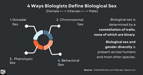 4 Ways Biologists Define Biological Sex—none Of Which Are Binary