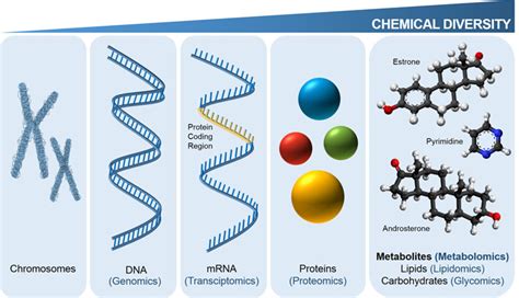 Metabolomics Research Introduction, Applications, Sample Types and Handling