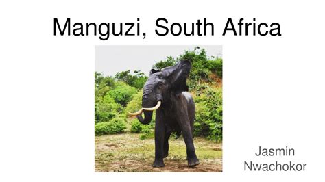 Ppt Medical Experience In Manguzi South Africa A Comparative