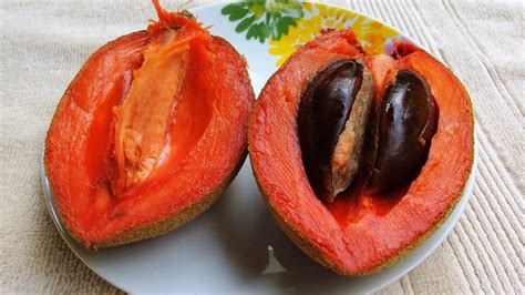 How To Eat Mamey Sapote Fruit - Recipes.net