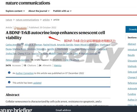 BDNF TrkB自分泌环在延缓细胞衰老和提升细胞活力中的调控机制 哔哩哔哩