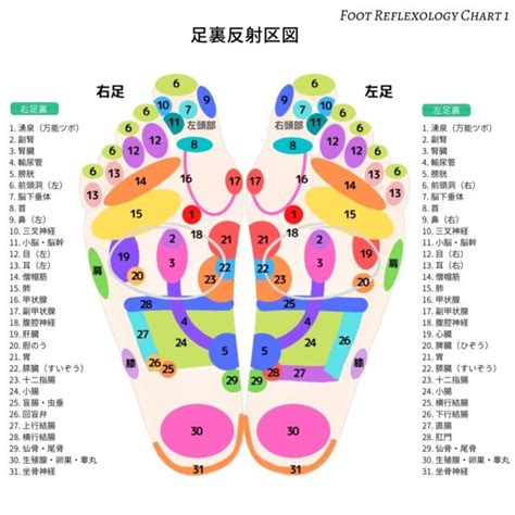 足裏のツボ・反射区【完全マップ】かんたん図解付き