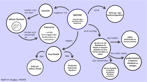 Enzyme Concept Map By Kathrin Gugau On Prezi