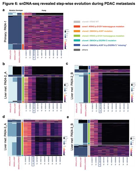 Sndna Seq Revealed Step Wise Evolution During Pdac Metastasis A E