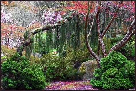 Ashland Oregon Lithia Park Photo Picture Image