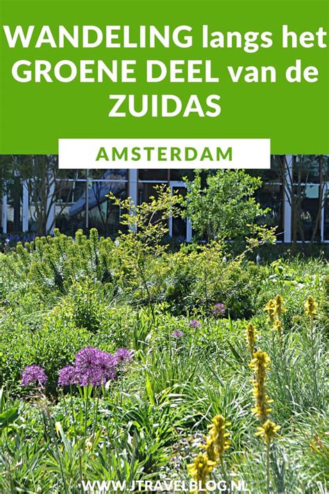 Een Wandeling Langs Het Groene Deel Van De Amsterdamse Zuidas Jtravelblog