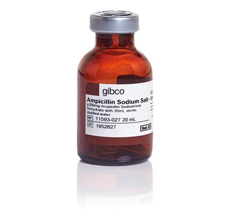 Gibco™ Ampicillin, sodium salt, irradiated | Fisher Scientific