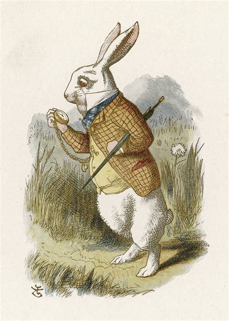 My Hero Sir John Tenniel By Chris Riddell Alice In Wonderland