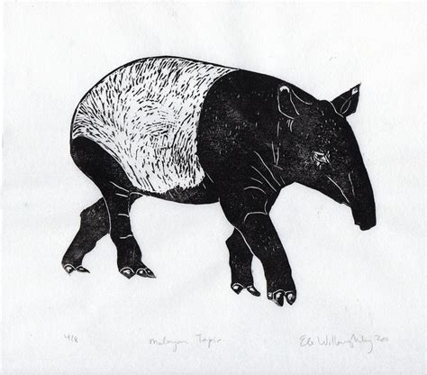 The Ongoing Saga Of Minouette October 2011 Tapir Linocut Linocut