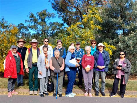 Queensland 2024 Wattle Day