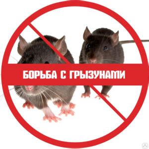 ТОП лучших средств от Мышей в Доме: отрава, ловушки, отпугиватели от мышей