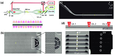 2 Efficient One Dimensional Light Matter Interfaces Position Of The