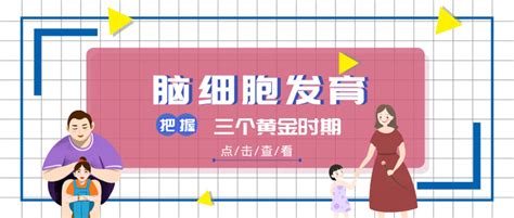 生命早期1000天｜把握脑细胞发育的三个黄金时期 知乎