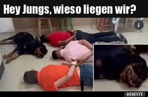 Neue Bilder Und Memes Hunde Whatsapp Lustig Kostenlos Debeste De