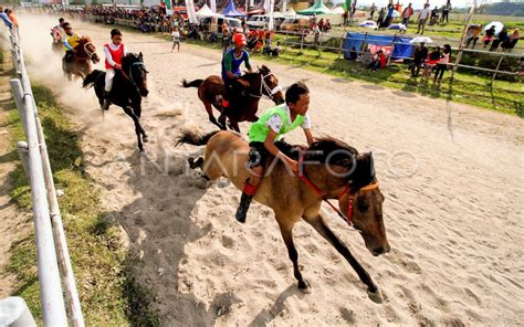 Pacuan Kuda Tradisional Gayo Antara Foto