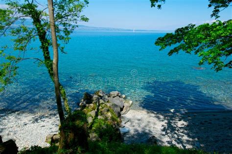 Beautiful Lake Geneva in France Stock Photo - Image of nature, boats ...