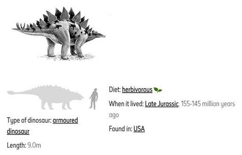 Top 10 Herbivorous Dinosaurs Ever Lived on Earth | My Dinosaurs