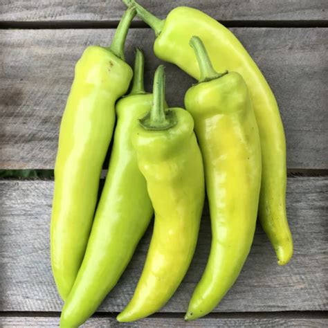 Hot Banana Peppers Rumar Farm