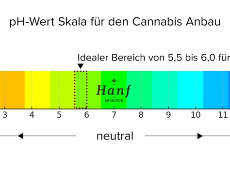 Cannabis Luftfeuchtigkeit Ratgeber Zu Jeder Phase Tabelle