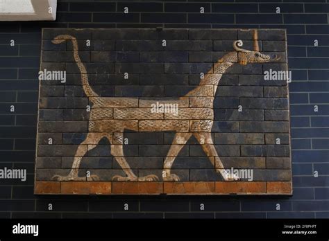 Wall Decoration From Ishtar Gate In Istanbul Archaeology Museum