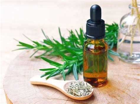 Rosemary CO2 Extract Antioxidant Benefits For Skin How To Use Where