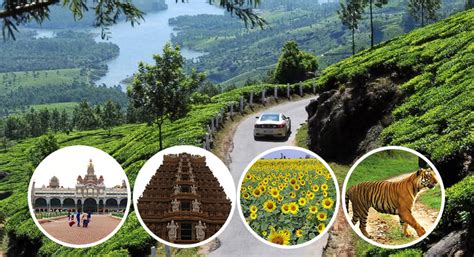 Best Ways To Enjoy Road Trip To Ooty From Bangalore Ezidrive