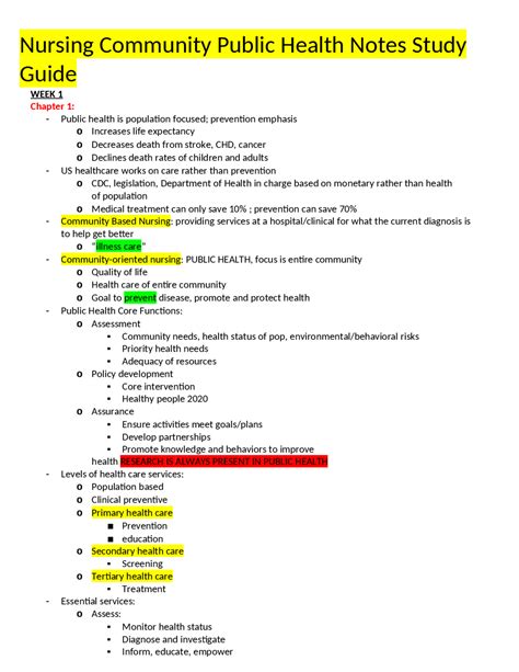 Public Health Nursing Promoting And Protecting Community Health