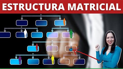 Estructura Matricial De Una Empresa