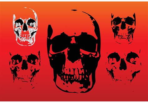 Free Skull Vectors - Download Free Vector Art, Stock Graphics & Images