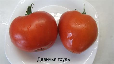 Томат Девичья грудь: описание сорта, ОТЗЫВЫ (7), фото, урожайность ...