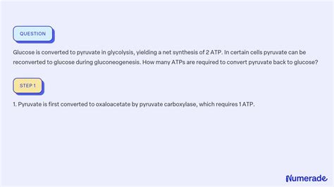 Solved Glucose Is Converted To Pyruvate In Glycolysis Yielding A Net