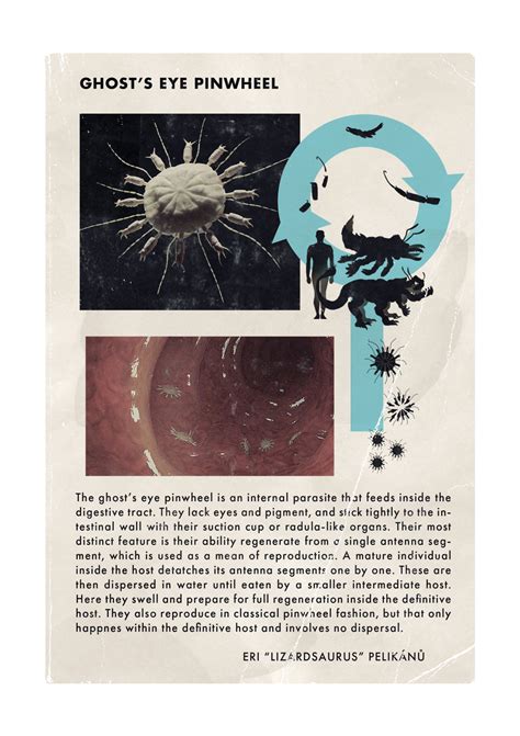 @total-convergence on Tumblr