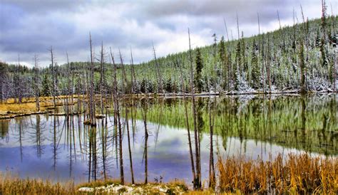 Yellowstone National Park Established In 1872 Yellowstone Flickr