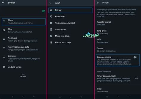 Cara Menyembunyikan Centang Biru Di Whatsapp Biasa Dan Wa Gb Aksesia