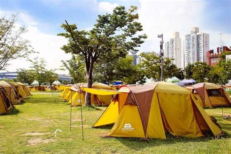 Yeouido Cherry Blossom Festival Hangang Park Picnic IVisitKorea