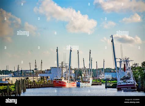 Shrimp boats are docked in the bayou, June 9, 2021, in Bayou La Batre ...