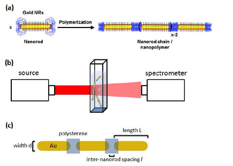 Self Assembled Nanorod NR Chains A Self Assembly Of Gold Nanorods