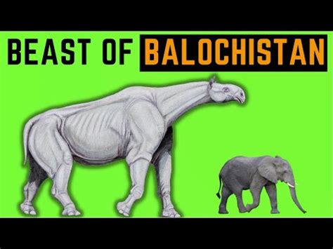 Balochitherium | The Beast of Balochistan - YouTube